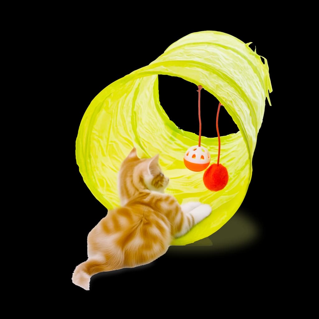 Set juegos para gatos 21 unidades