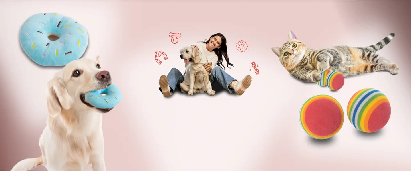 Con Gudyz también podrás consentir a tus mascotas