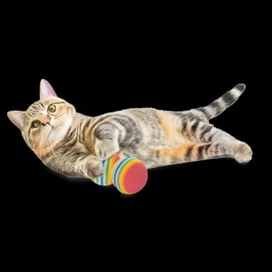 Set juegos para gatos 24 unidades