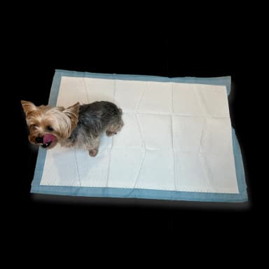 Almohadillas de entrenamiento para mascotas